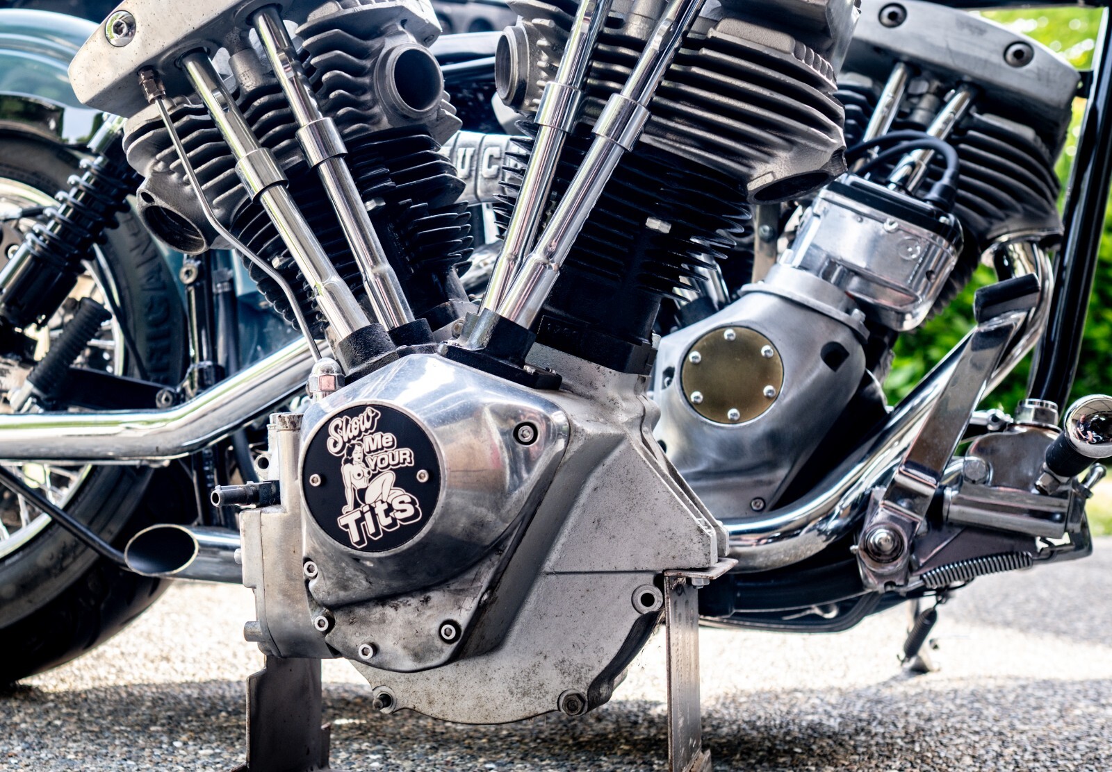 Hot Show Me Your Tits Black Evo Shovelhead 2 Hole Timing Cover Harley Davidson