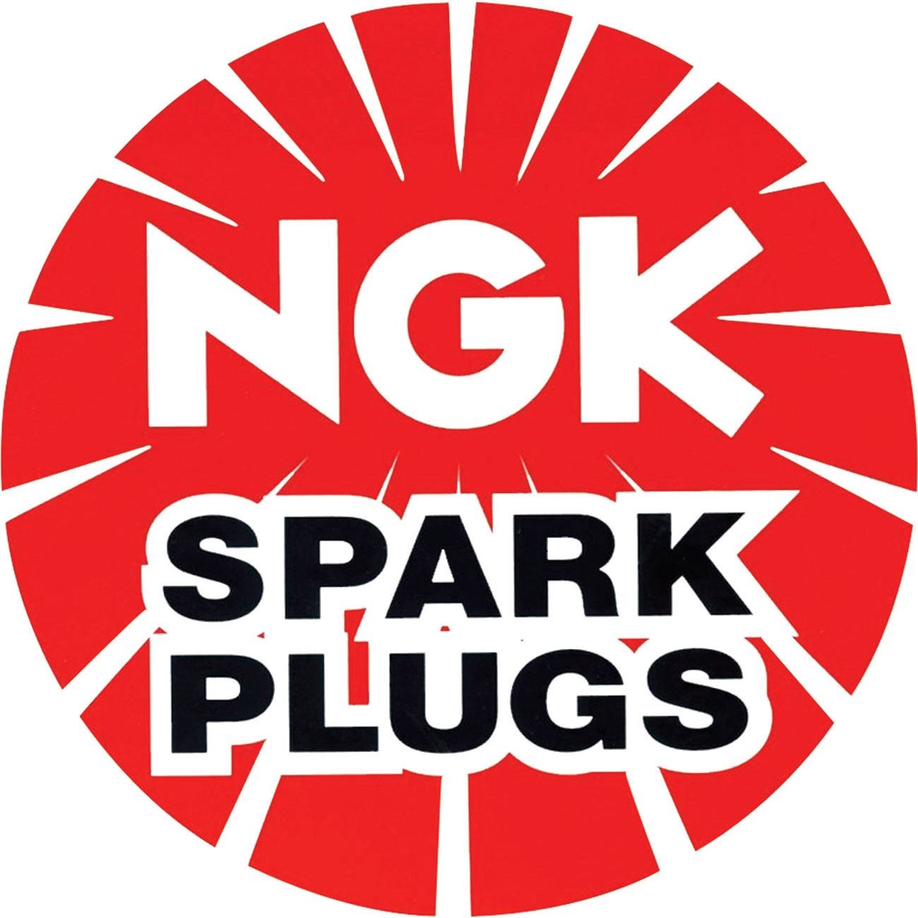 Spark Plug Cap for 2008 Kawasaki BN 125 A7F Eliminator
