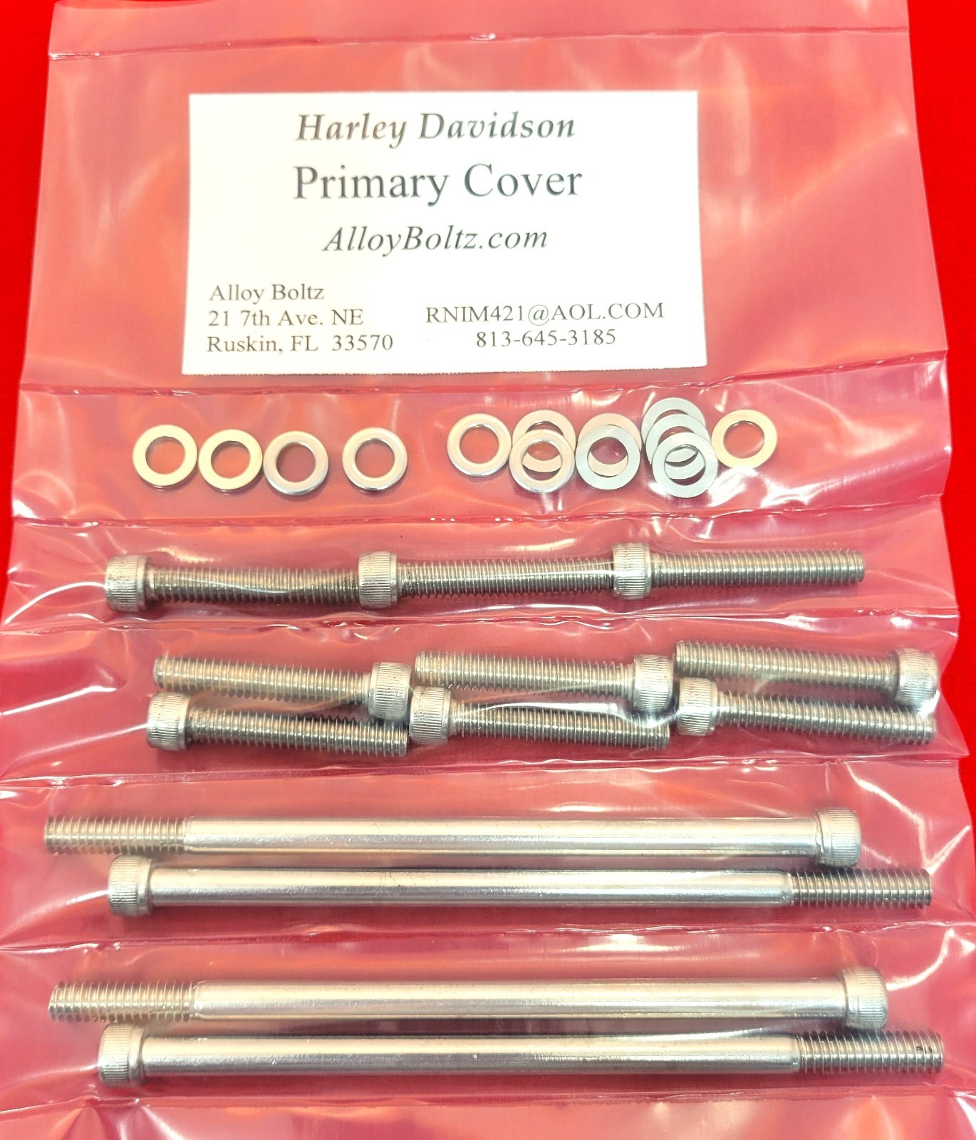2017 & UP HARLEY TOURING PRIMARY POLISHED STAINLESS STEEL ALLEN BOLTS KIT SET