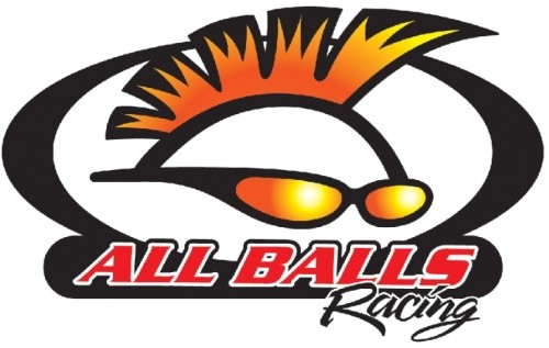 All Balls 18-6031 – Clutch Slave Cylinder Rebuild Kit 229-0426 137689 abr18-6031