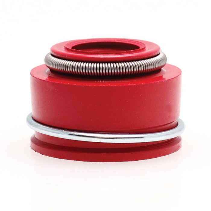 75-79 Honda GL1000 GL 1000 Gold Wing Kibblewhite RED Viton Valve Seals Set of 8