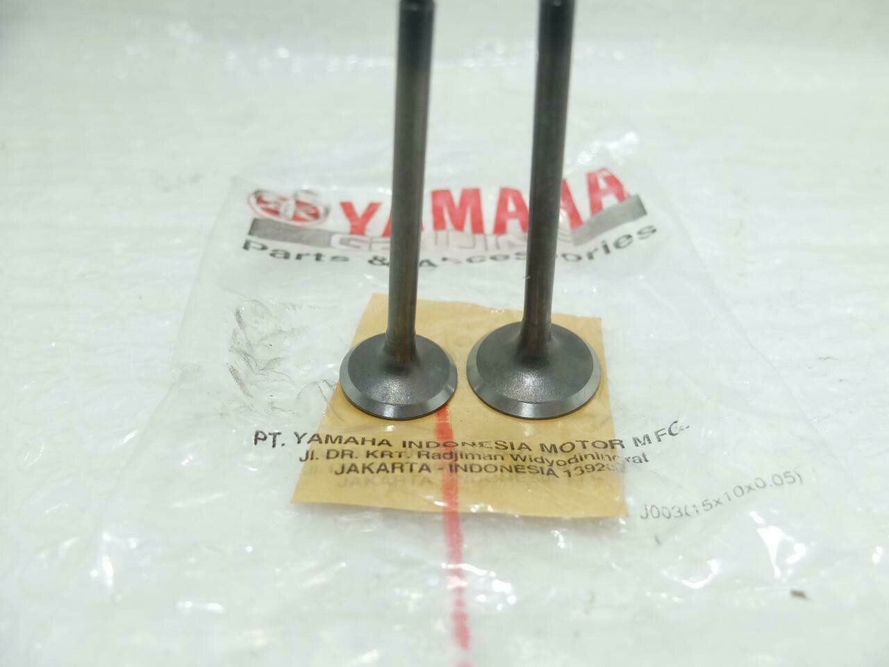 Yamaha TTR110 TTR 110 Intake & Exhaust Valve NEW 5TP-E2111-00 5TP-E2121-00