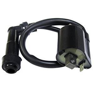 Ignition Coil FOR Yamaha Bear Tracker 250 YFM250 1999 2000 2001 2002 2003 2004