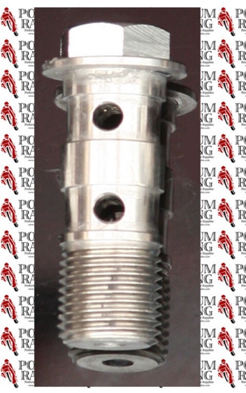 DUCATI TITANIUM BREMBO SILVER NATURAL DOUBLE BANJO BOLT