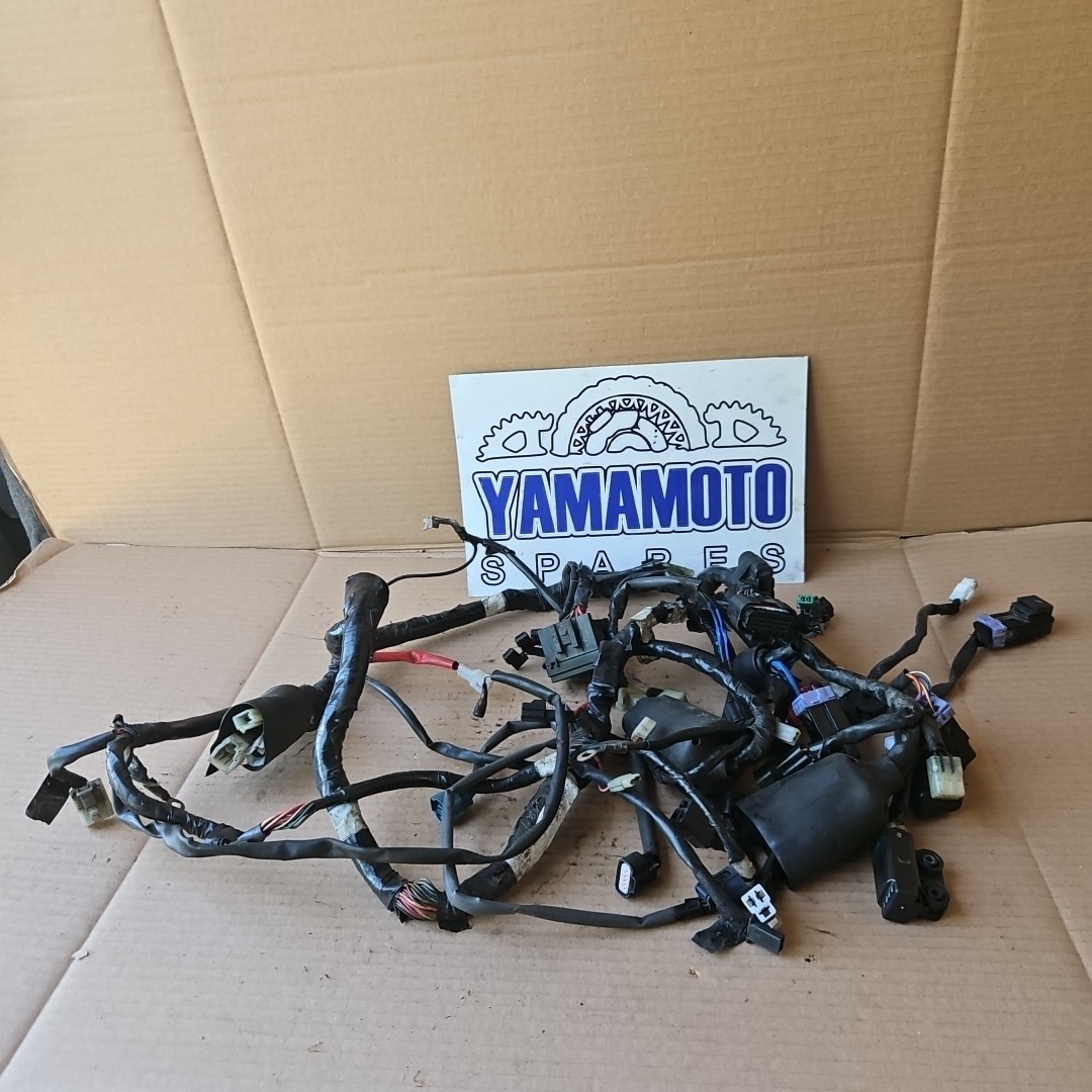 Yamaha Yzfr125 Yzf125r Yzf-r125 Yzf R125 125r None Abs Wiring Loom Harness Wires