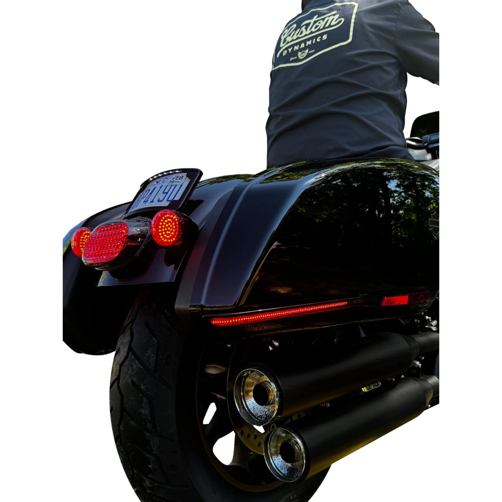 Custom Dynamics Accent Light – CD-LRST-BAG-SB 2040-3198