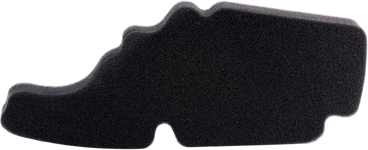 Vespa Piaggio Aprilia OEM Air Filter Sport City LX LVX Fly Typhoon More 8431940P