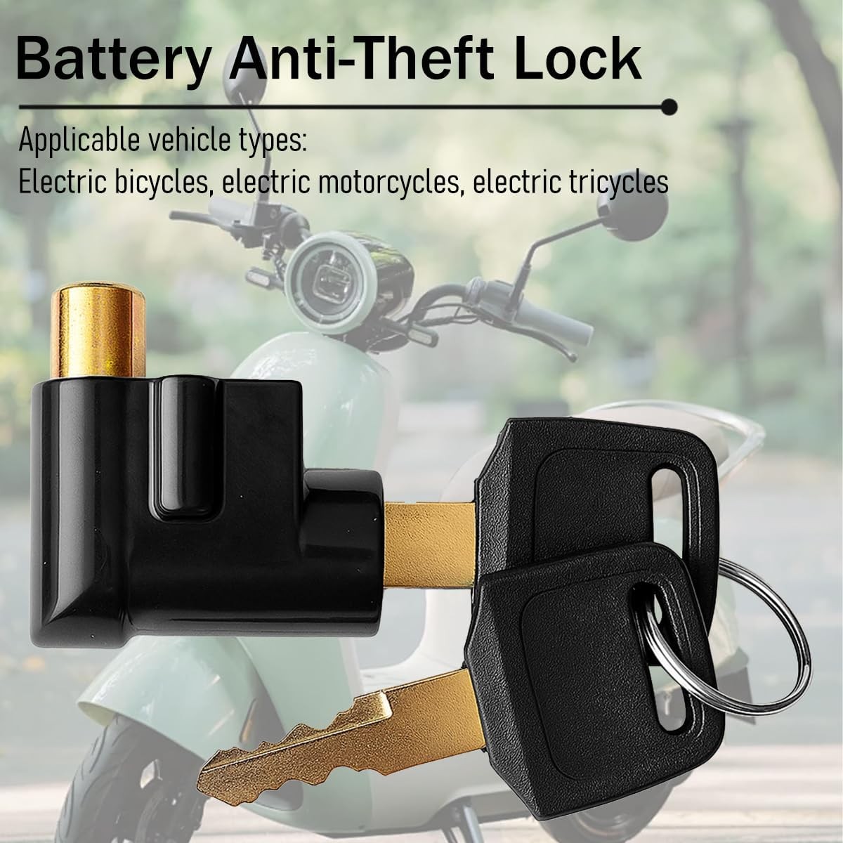 Metal Anti-Theft Lock E-Bike Battery Box, Includes 2 Keys