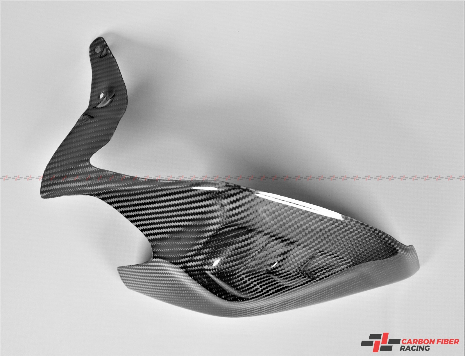 Ducati 1199 Panigale Swing Arm Cover – 100% Carbon Fiber