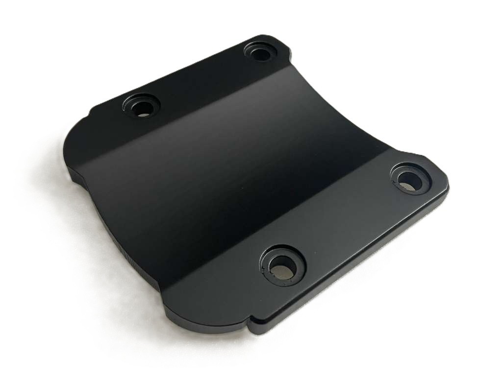 2018-2024 NEW LOOK, PAINTED Fender Eliminator Plate for Indian Scout Bobber