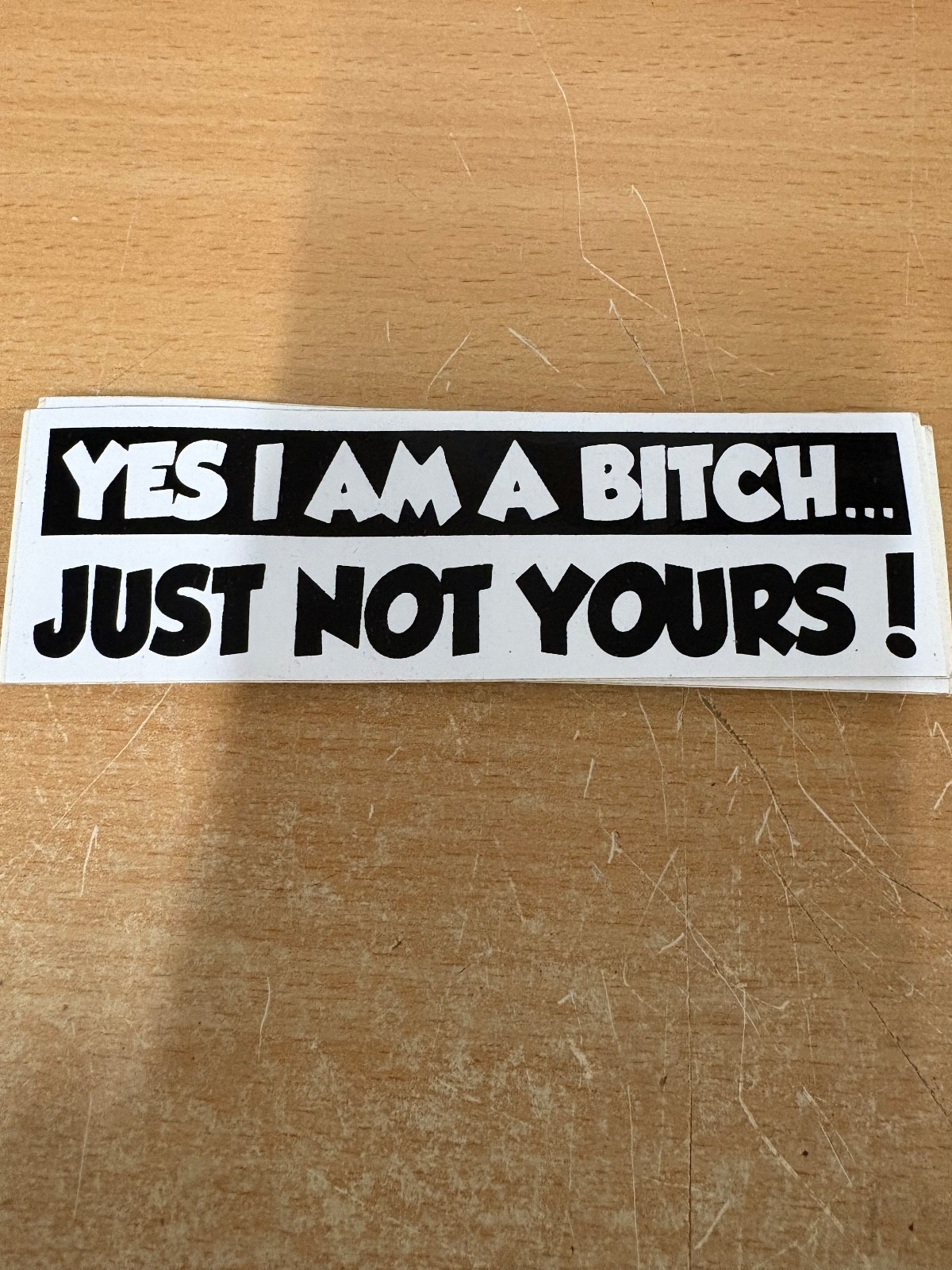 ” YES I AM A B*TCH… JUST NOT YOURS! ” PACK OFF 6 STICKERS