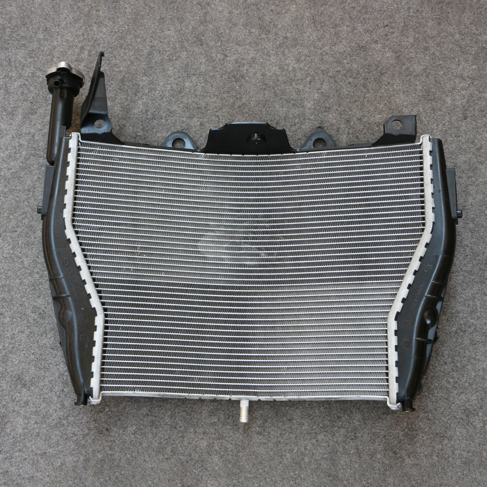 Fit For BMW S1000RR S1000 RR 2009-2018 Radiator Cooler Cooling 2017 2016 2015 14