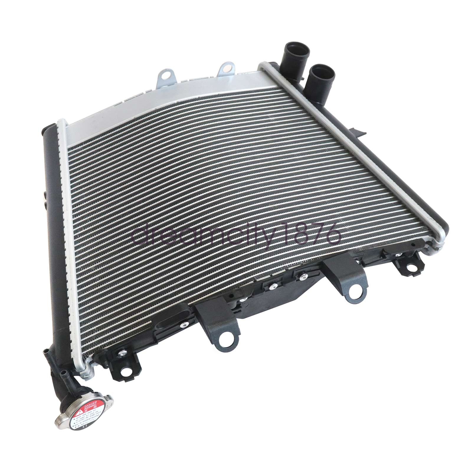For BMW M1000RR 2021-2024 S1000R 2021-2024 S1000RR 2019-2024 Radiator Cooler