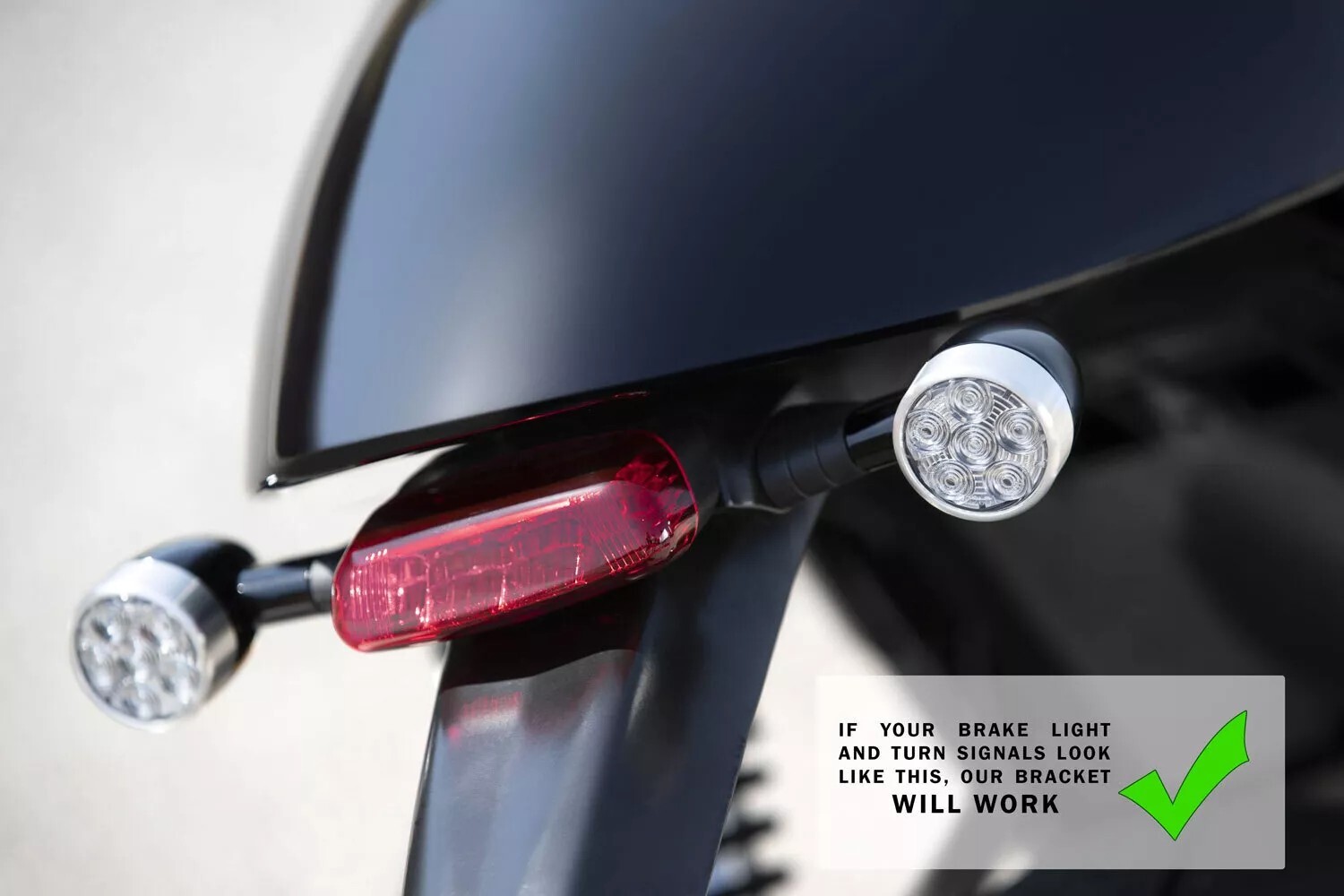 2020 Triumph Thruxton TFC Fender Eliminator