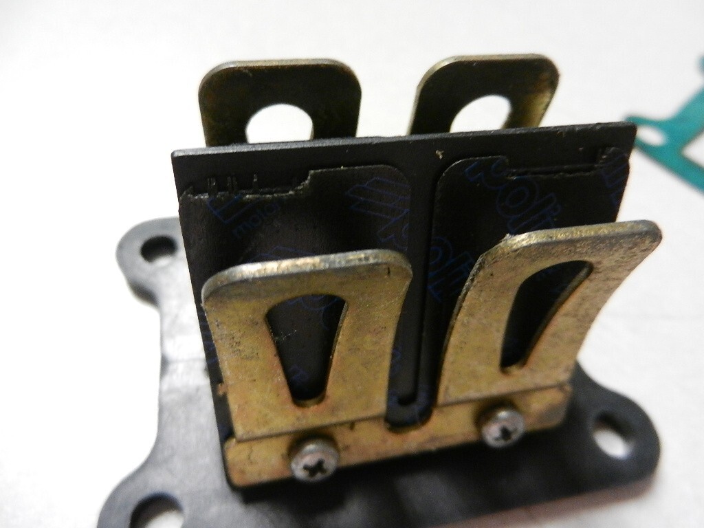 NOS Polini Reed Valve Fits: Gilera 2006 RCR50/SMT