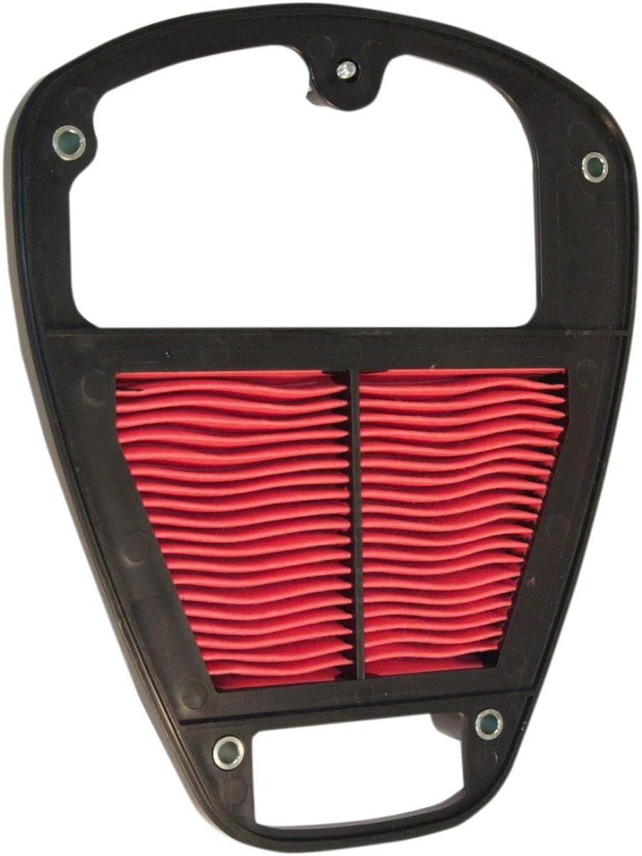 HiFlo OE Replacement Air Filter (HFA2919)