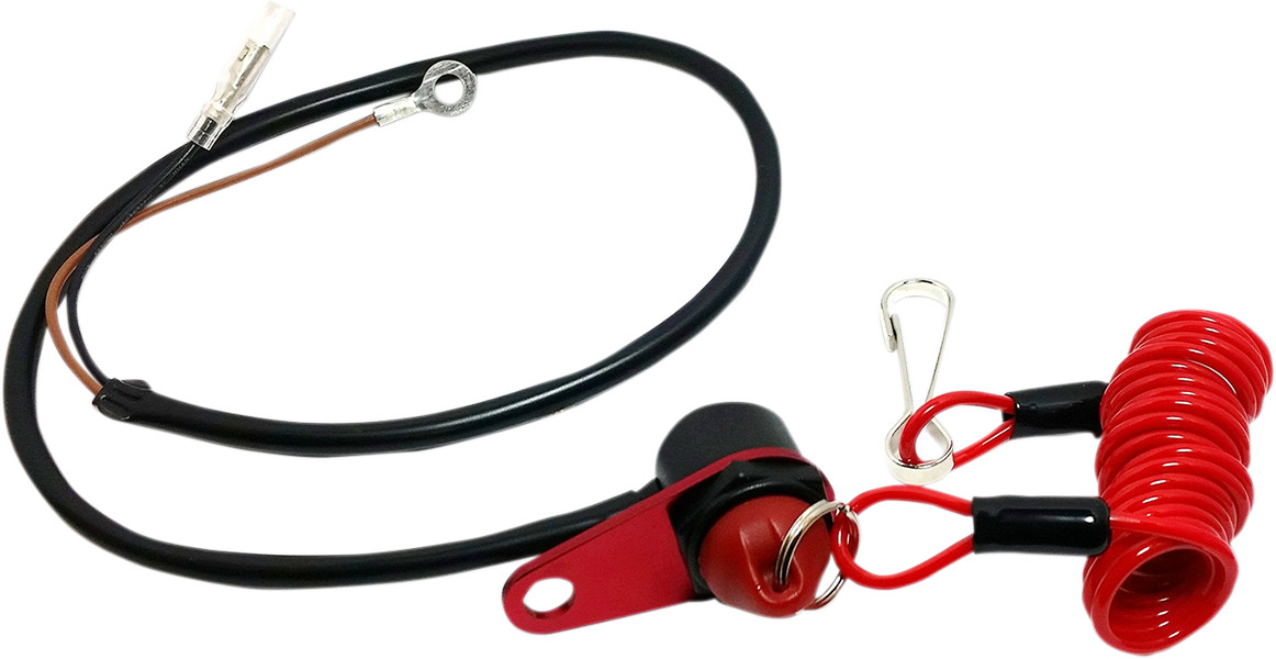 K & S Magnetic Tether Switch Panel Mount Normally Open 12-0108