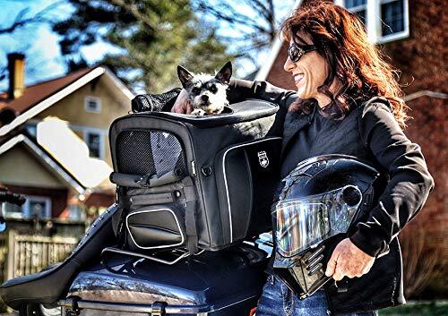 Nelson-Rigg Route Rover Pet Carrier for Harley Davidson, Indian, Yamaha & Suzuki