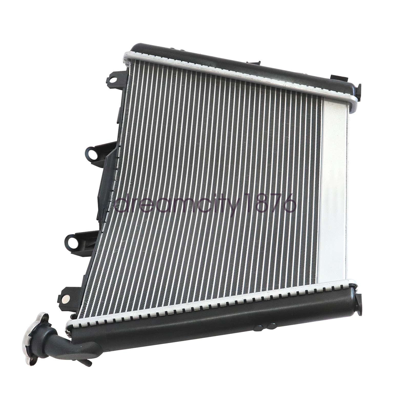 For BMW M1000RR 2021-2024 S1000R 2021-2024 S1000RR 2019-2024 Radiator Cooler