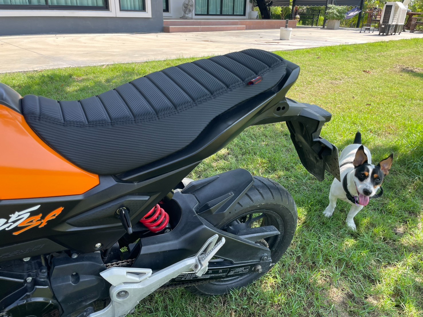 Honda grom 125 msx125 2017 2018 2019 2020 flat complete seats black Stitch v.25