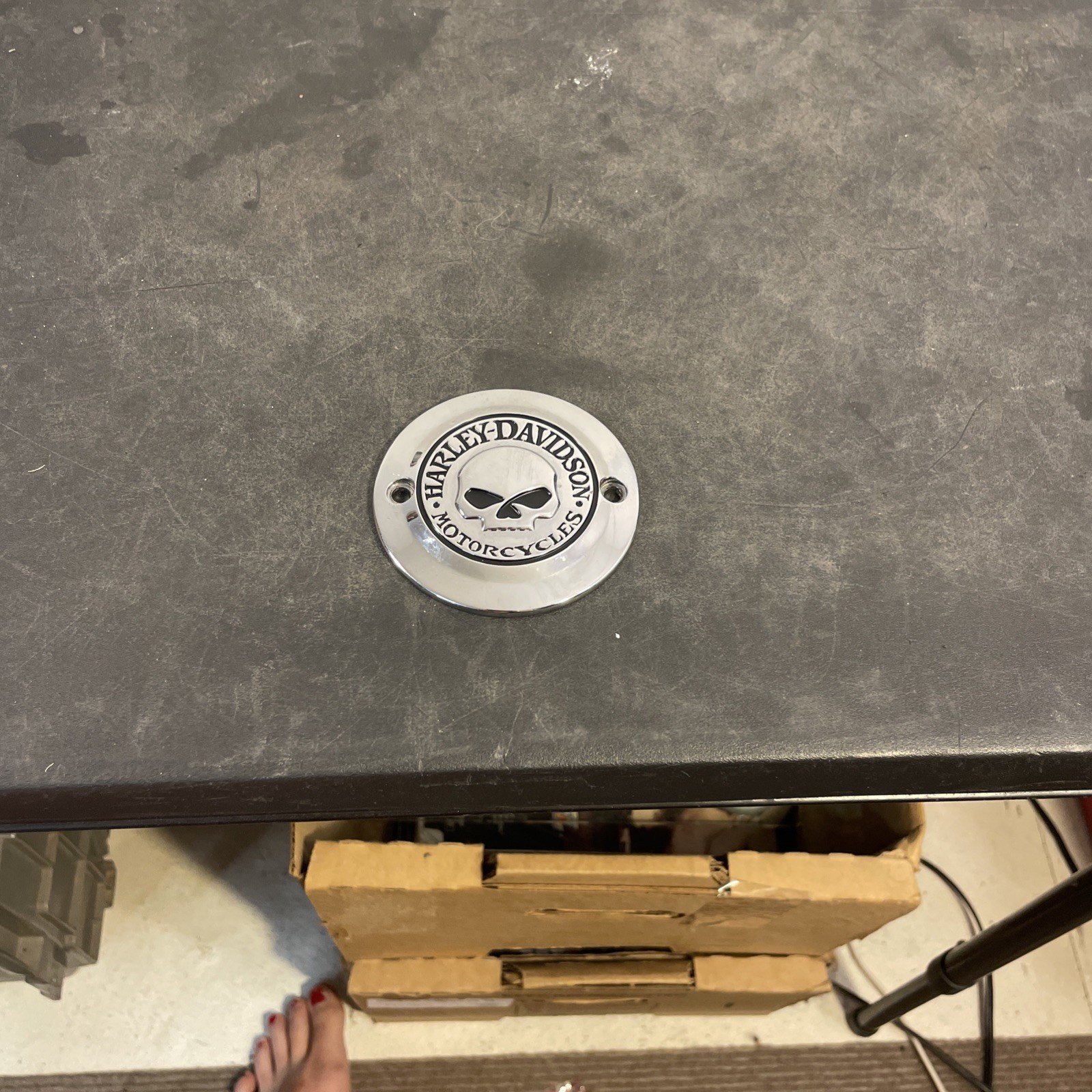 Willie G Points Cover- Harley Davidson Chrome 2 Hole Points Timing Cover Used