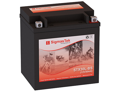 SigmasTek STX30L-BS Battery (385CCA)