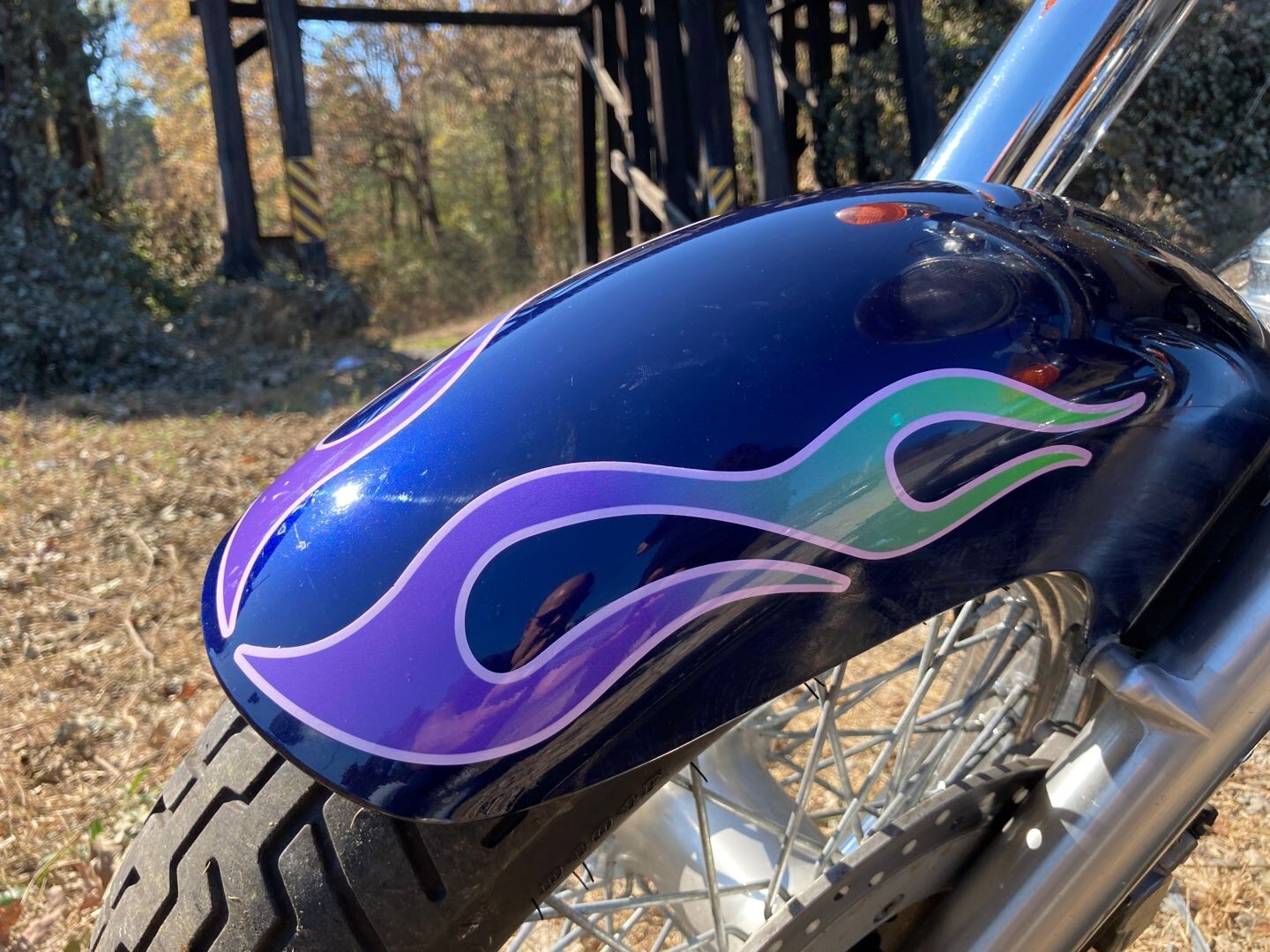 Hot Rod Motorcycle Flame decals Green & Purple 6pc kit for Harley Honda Bobber