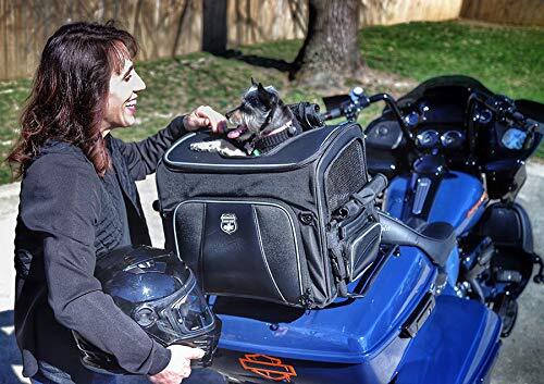 Nelson-Rigg Route Rover Pet Carrier for Harley Davidson, Indian, Yamaha & Suzuki