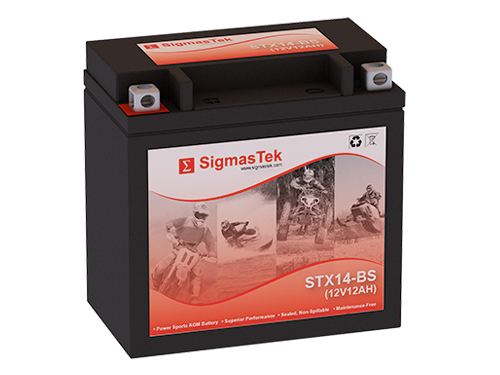 SigmasTek STX14-BS Battery Replacement for Honda TRX300 Fourtrax 300CC 1988-2000