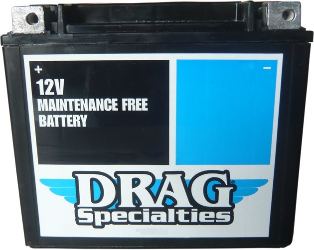 DS AGM Maintenance Free Battery #212244