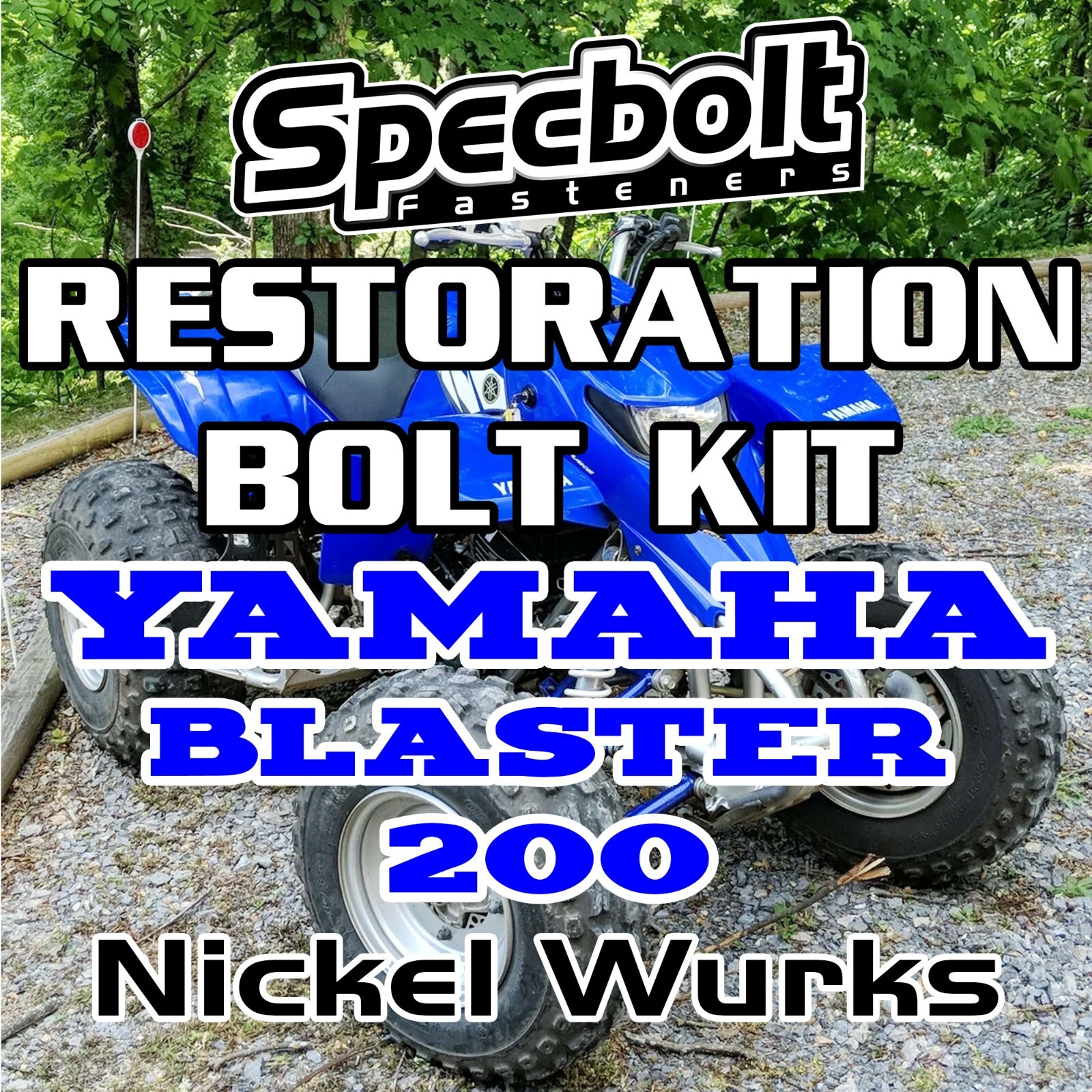NICKEL 1988-2007 YAMAHA BLASTER 200 RESTORATION BOLT KIT YFS200 PLASTICS ENGINE