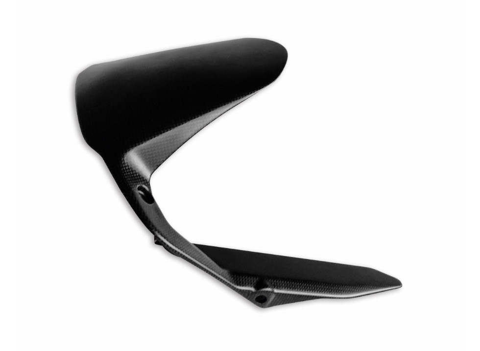 Ducati Carbon Rear Mudguard for Monster 797 (96981021A)