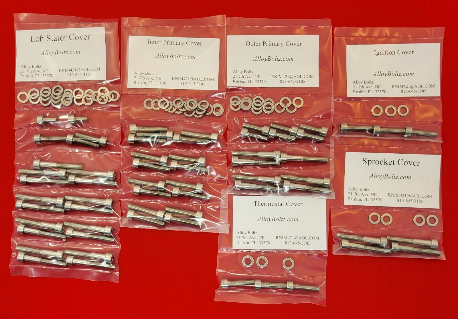 INDIAN 2015 & UP SCOUT POLISHED STAINLESS STEEL ENGINE BOLT SCREW KIT SET