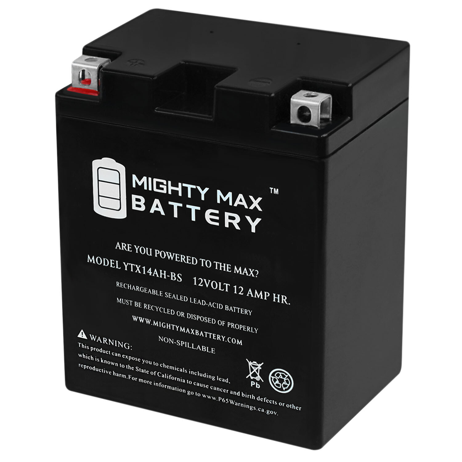 Mighty Max YTX14AH-BS – 12 Volt 12 AH, 210 CCA, Rechargeable Maintenance Free SL