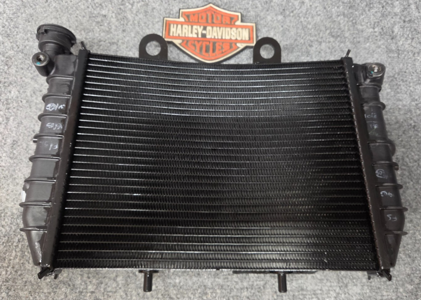 OEM HARLEY-DAVIDSON 22-25+ SPORTSTER NIGHTSTER/SPECIAL RADIATOR CORE 26800229