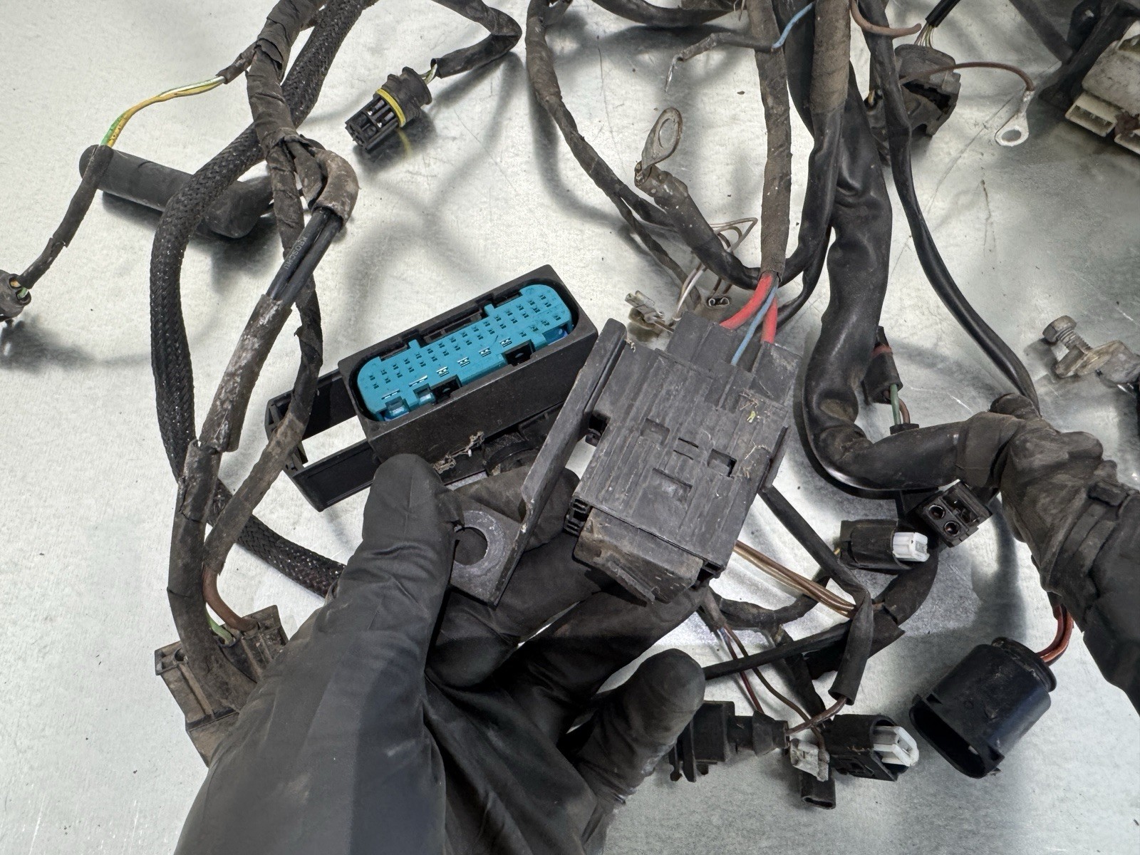 01-05 BMW R1150R ENGINE WIRING HARNESS & FUSE PANEL GENUINE FACTORY OEM *READ*