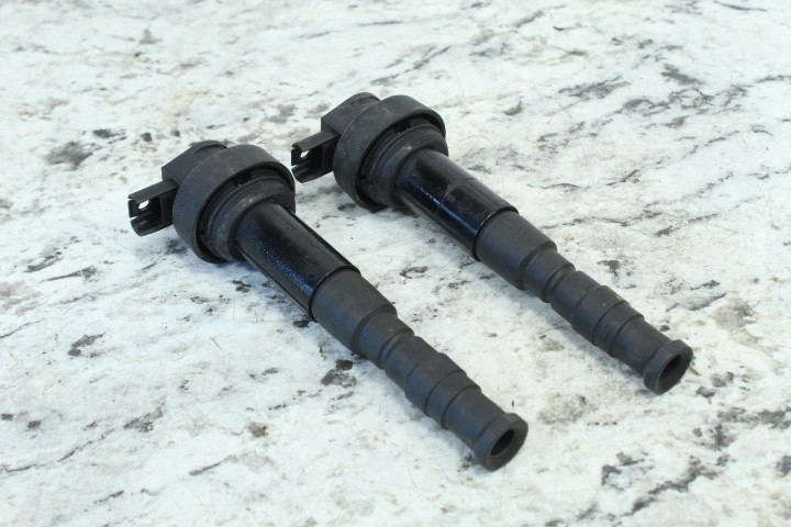 2009 BMW F800GS Ignition Coils 12135B36BF1