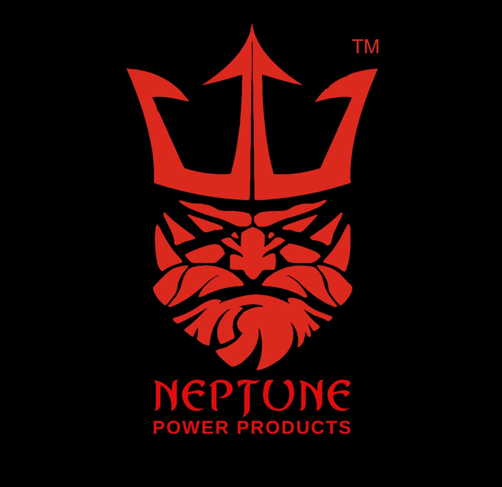 Neptune Power Products Replacement For Moto Classic YTX20HL / YTX20L 12V 20Ah