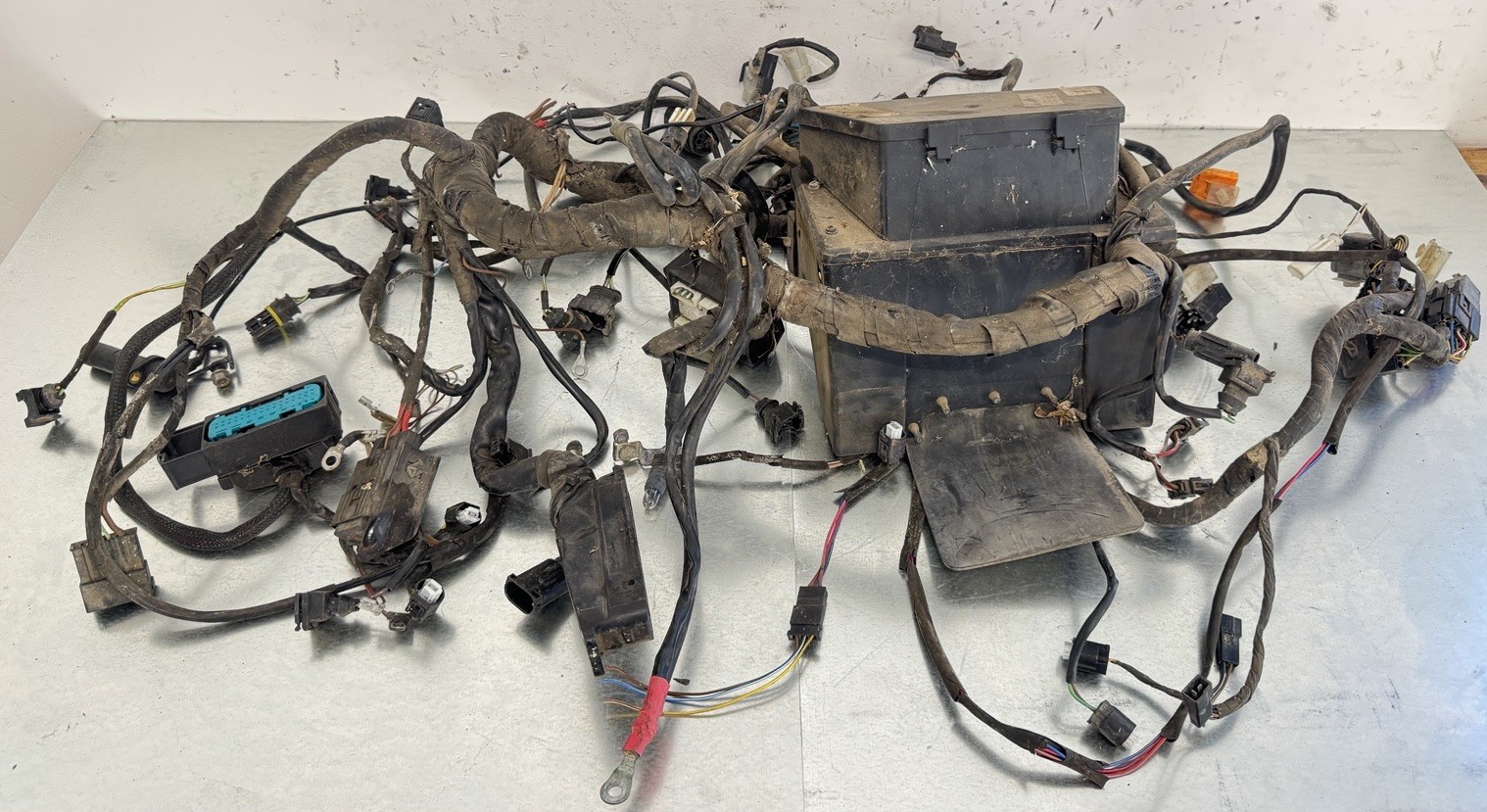 01-05 BMW R1150R ENGINE WIRING HARNESS & FUSE PANEL GENUINE FACTORY OEM *READ*