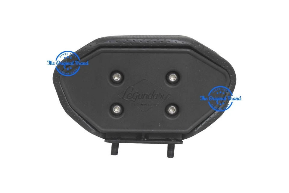 Gopher Luggage Carrier With “Backrest Fit For TVS Apache RTR 310”