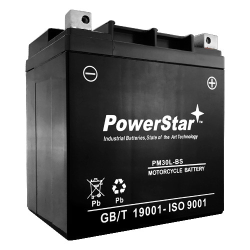 Maintenance Free Battery YIX30L-BS with 2 Year Warranty