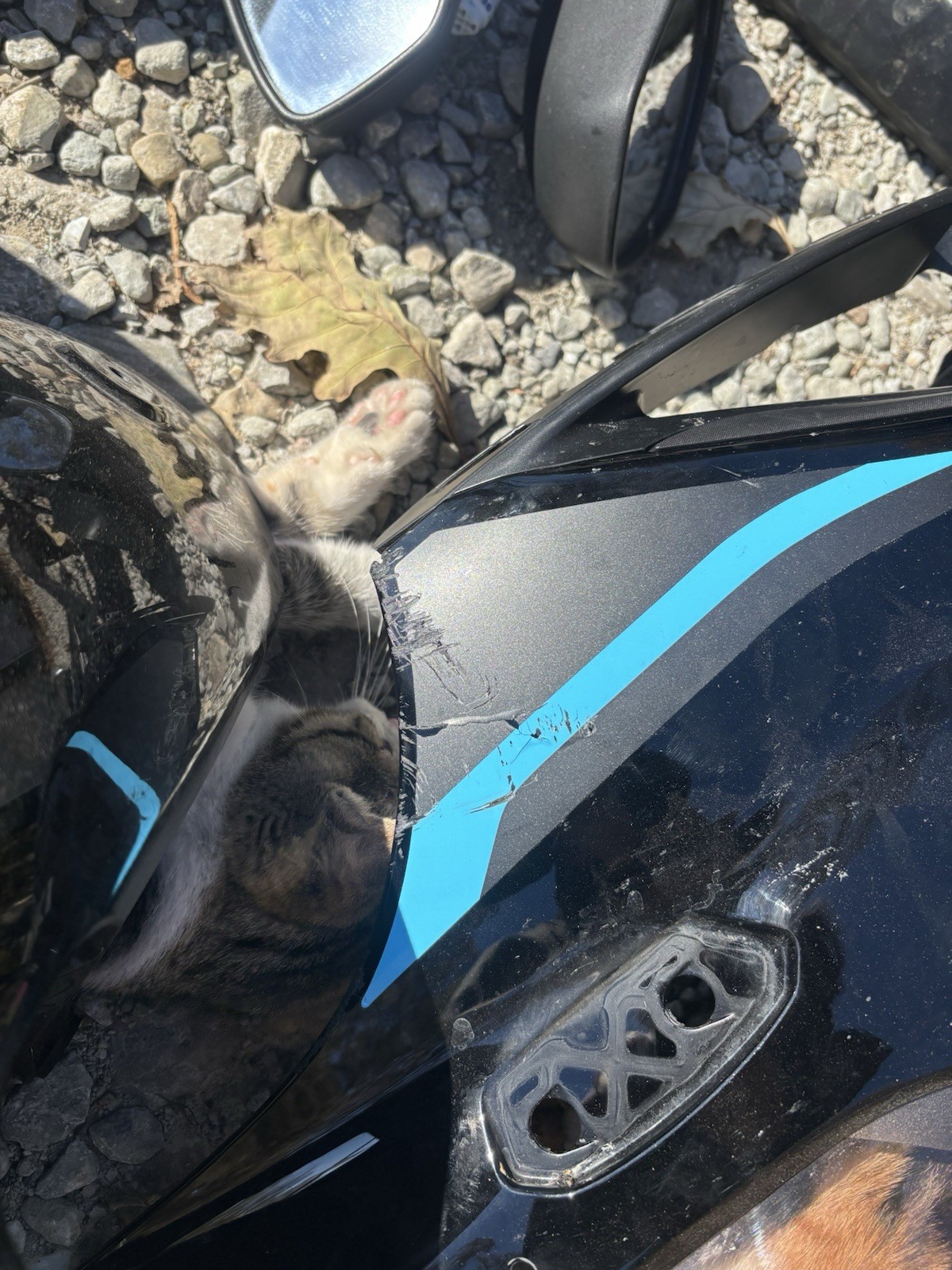 2017-2024 Suzuki Gsxr-1000 OEM Full Fairing Set