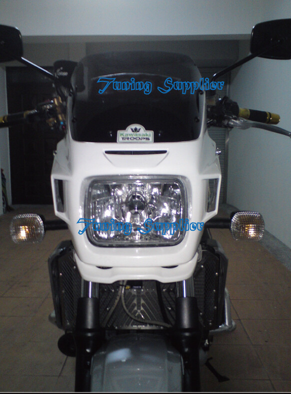 KAWASAKI ZRX1100 ZRX1200 Front FAIRING COWL 2000-2009 FRP