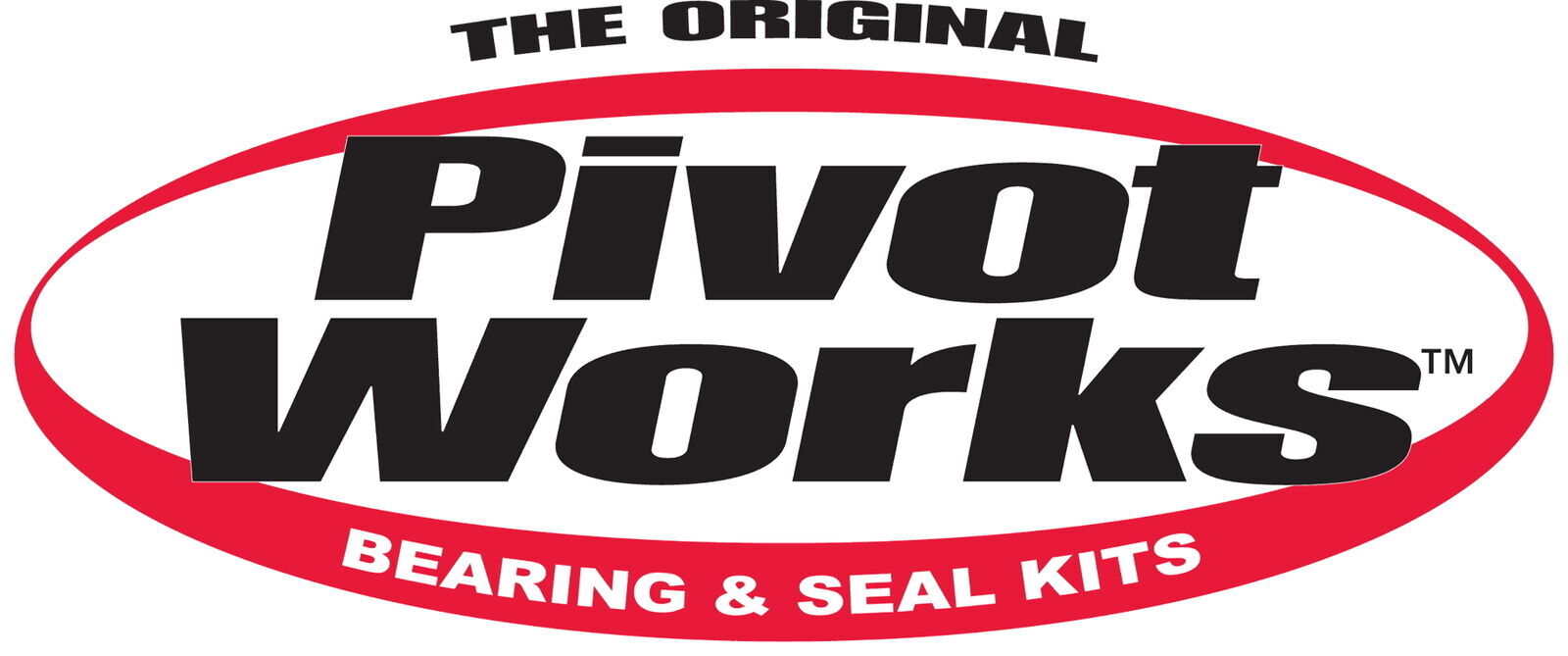 Pivot Works Swingarm Bearings Gas-Gas TXT 125 2004-2017 ‘NEW’ SHIPS TODAY FREE