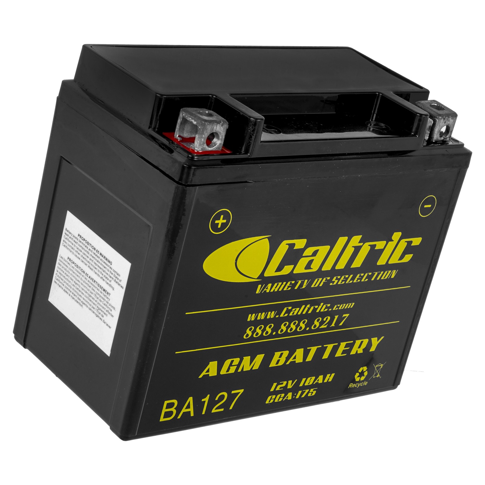 Caltric YT12B-BS AGM Battery for Triumph T2500020 AGM Battery 12V 10Ah