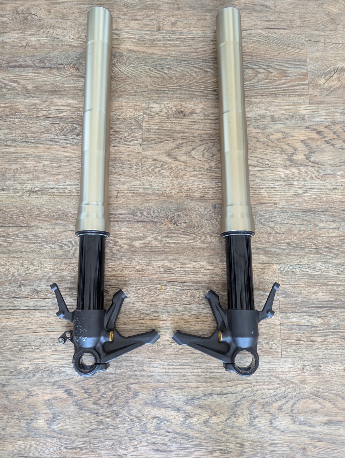 Ducati Panigale 1199 Marzocchi forks with Ohlins valving FGK 224 Fresh Rebuild