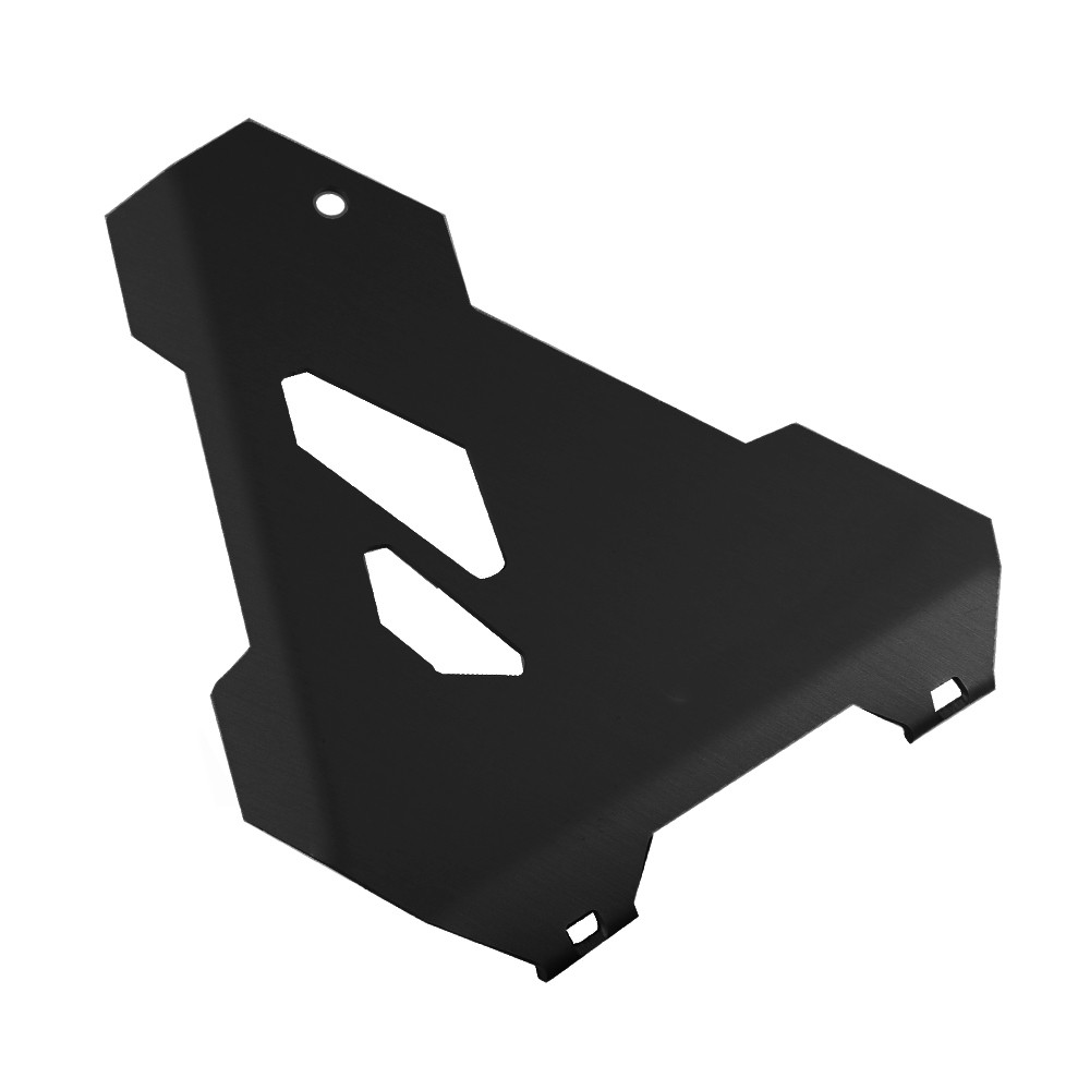 starter Protection For BMW R1200GS LC/Adv. 13-19 R1250GS/Adv. 19-24 R1250R 19-26