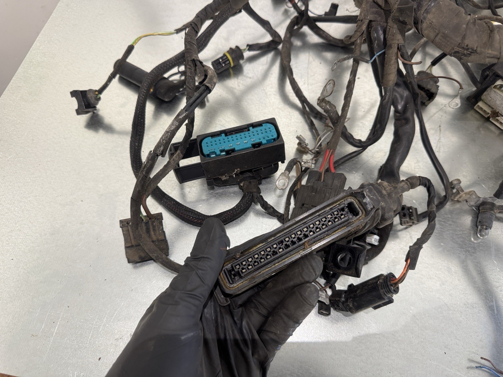 01-05 BMW R1150R ENGINE WIRING HARNESS & FUSE PANEL GENUINE FACTORY OEM *READ*